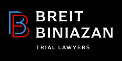 Breit Biniazan logo