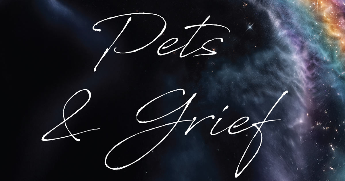 Pets & Grief - by Brian Cuban