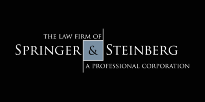 Springer Steinberg logo