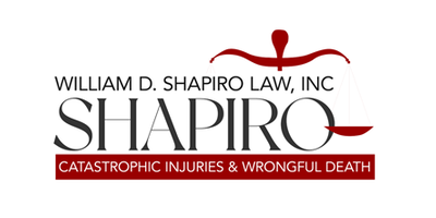 William D Shapiro Law logo